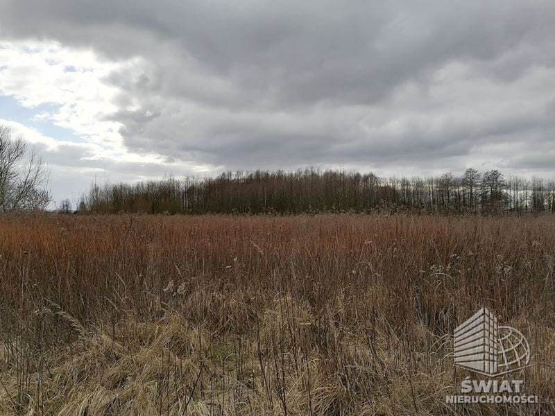 Działka na sprzedaż, Szczecin Dąbie, 3930 m² — ARK26099, zdjęcie 2