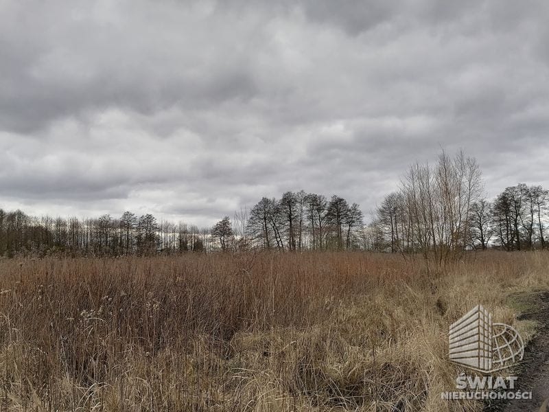 Działka na sprzedaż, Szczecin Dąbie, 3930 m² — ARK26099, zdjęcie 3