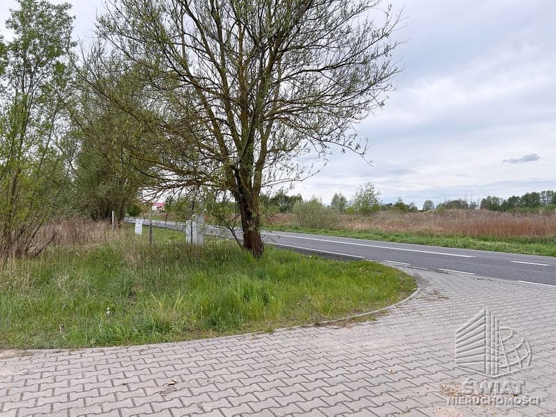 Działka na sprzedaż, Szczecin Dąbie, 7246 m² — DIV20634, zdjęcie 4