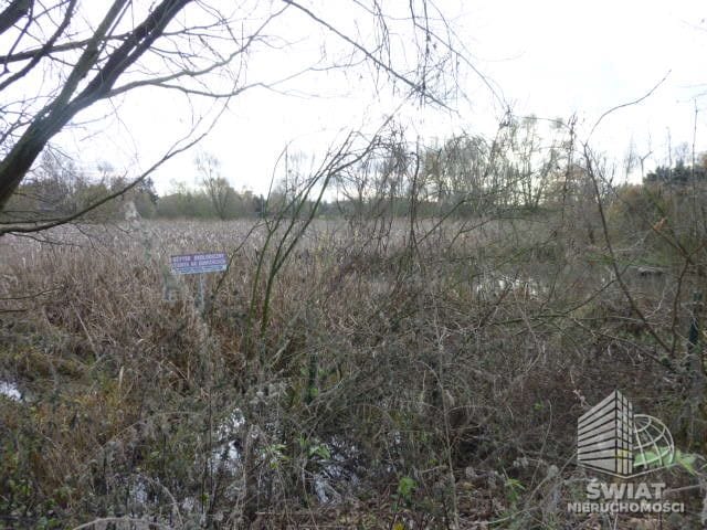Działka na sprzedaż, Szczecin Gumieńce, 10588 m² — INW26828, zdjęcie 8
