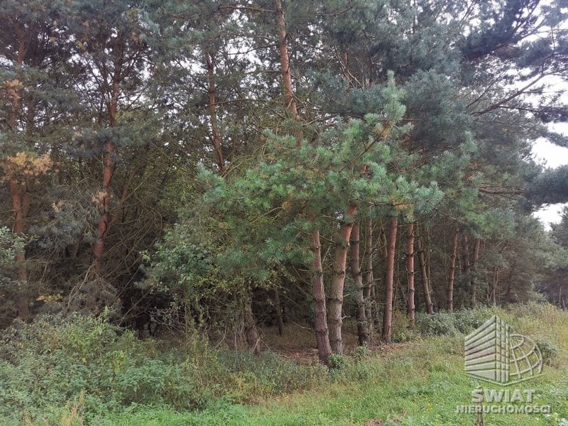 Działka na sprzedaż, Szczecin Jezierzyce, 4258 m² — AWY20797, zdjęcie 2