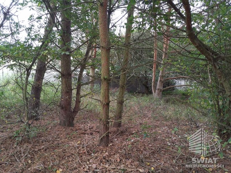 Działka na sprzedaż, Szczecin Jezierzyce, 4258 m² — AWY20797, zdjęcie 3