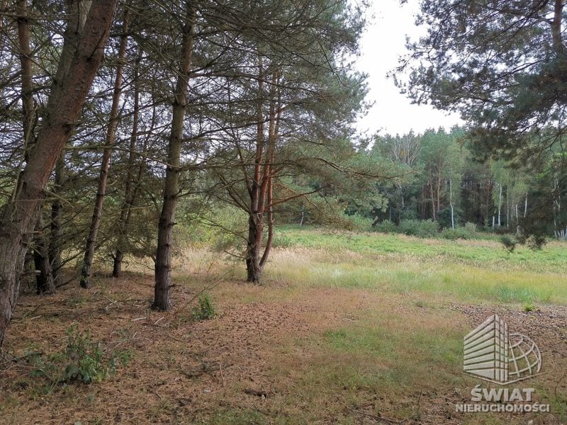 Działka na sprzedaż, Szczecin Jezierzyce, 4258 m² — AWY20797, zdjęcie 4