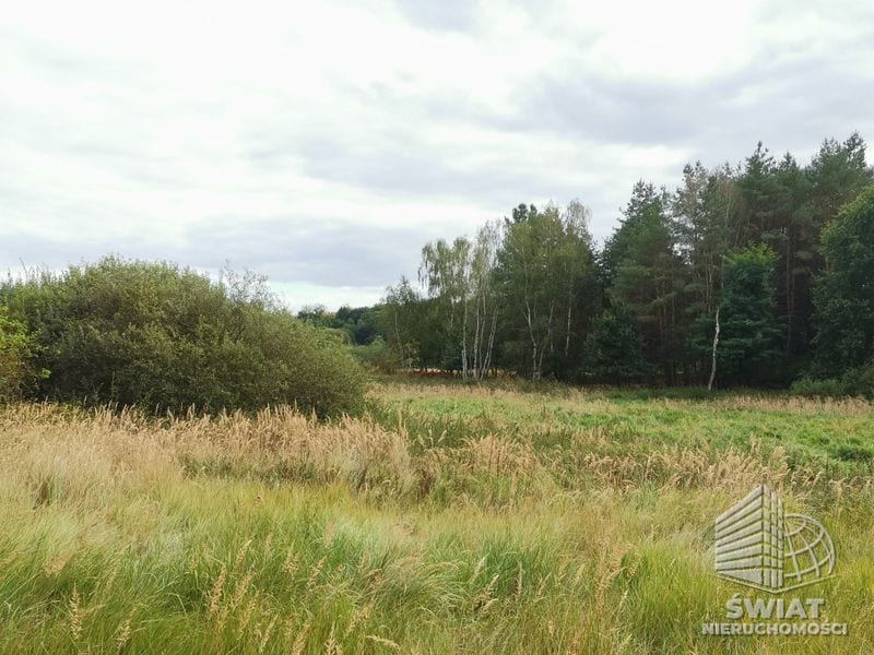 Działka na sprzedaż, Szczecin Jezierzyce, 4258 m² — AWY20797, zdjęcie 5