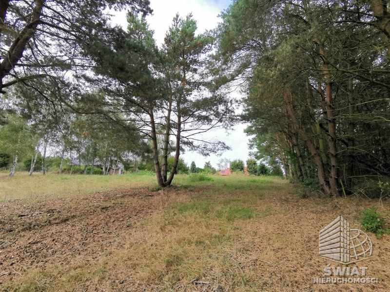 Działka na sprzedaż, Szczecin Jezierzyce, 4258 m² — AWY20797, zdjęcie 6