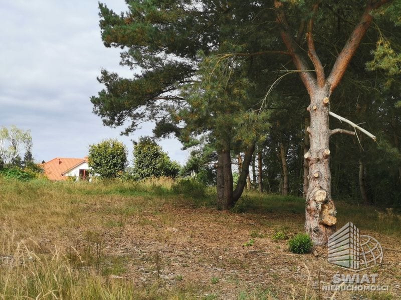 Działka na sprzedaż, Szczecin Jezierzyce, 4258 m² — AWY20797, zdjęcie 7
