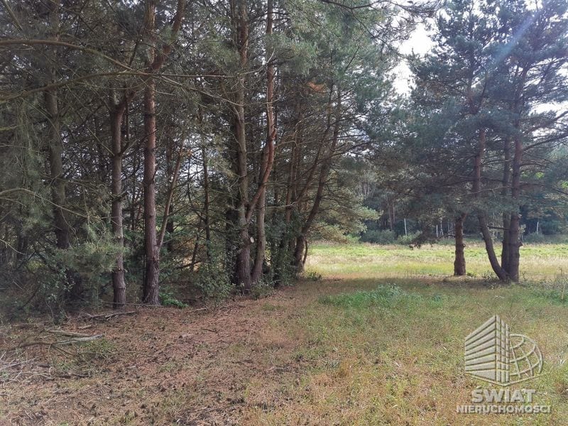 Działka na sprzedaż, Szczecin Jezierzyce, 4258 m² — AWY20797, zdjęcie 8