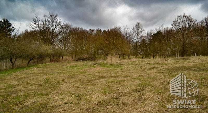 Działka na sprzedaż, Szczecin Podjuchy, 5811 m² — ROY04182, zdjęcie 2