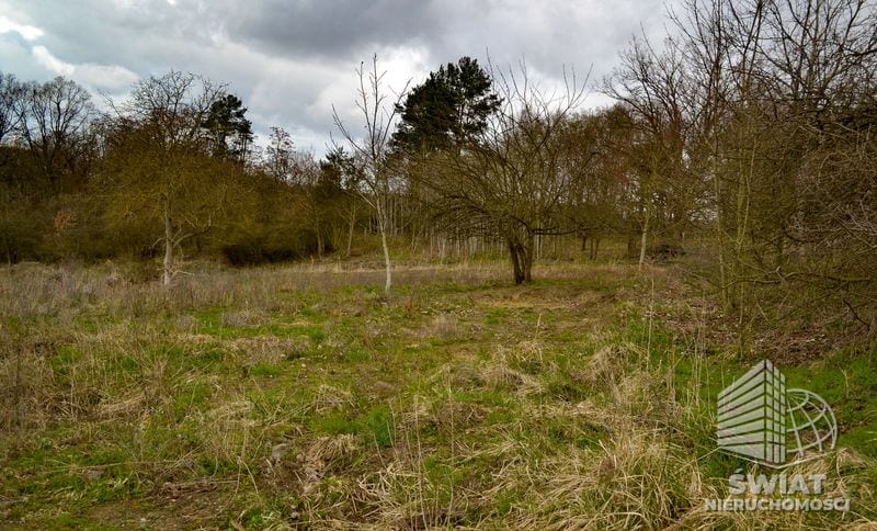 Działka na sprzedaż, Szczecin Podjuchy, 5811 m² — ROY04182, zdjęcie 3