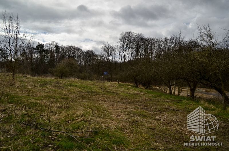 Działka na sprzedaż, Szczecin Podjuchy, 5811 m² — ROY04182, zdjęcie 5