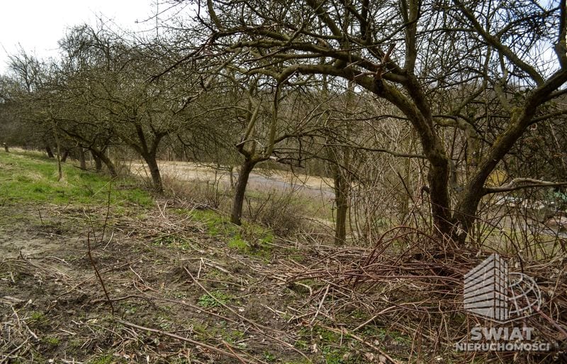 Działka na sprzedaż, Szczecin Podjuchy, 5811 m² — ROY04182, zdjęcie 6