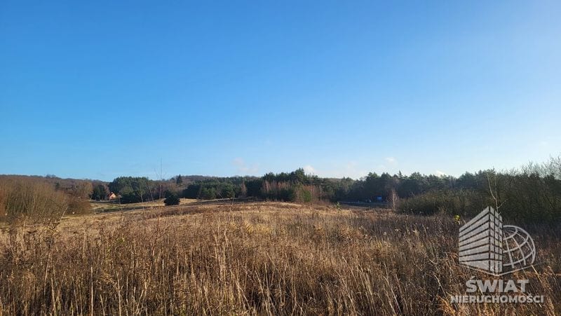 Działka na sprzedaż, Szczecin Żydowce, 21150 m² — INW31105, zdjęcie 3