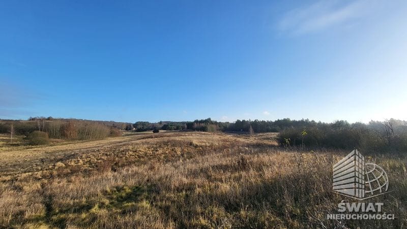 Działka na sprzedaż, Szczecin Żydowce, 21150 m² — INW31105, zdjęcie 4