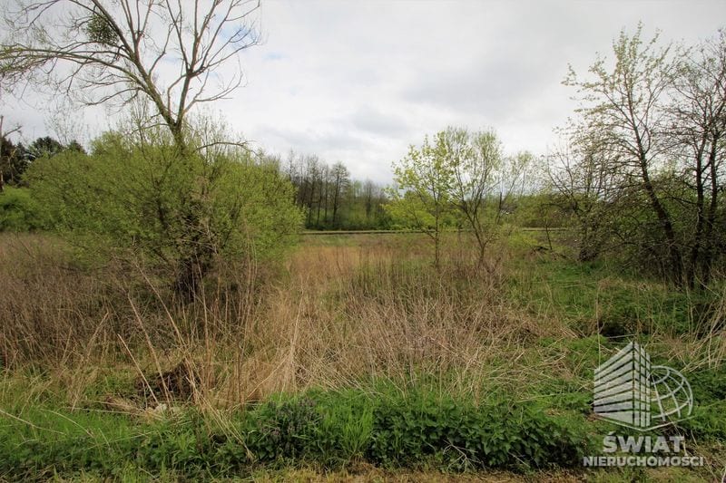 Działka na sprzedaż, Węgorzyno Kąkolewice, 3500 m² — HES27615, zdjęcie 4