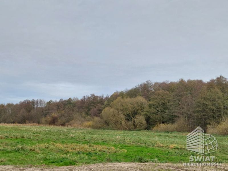 Działka na sprzedaż, Węgorzyno Mielno, 3440 m² — AVN22358, zdjęcie 3
