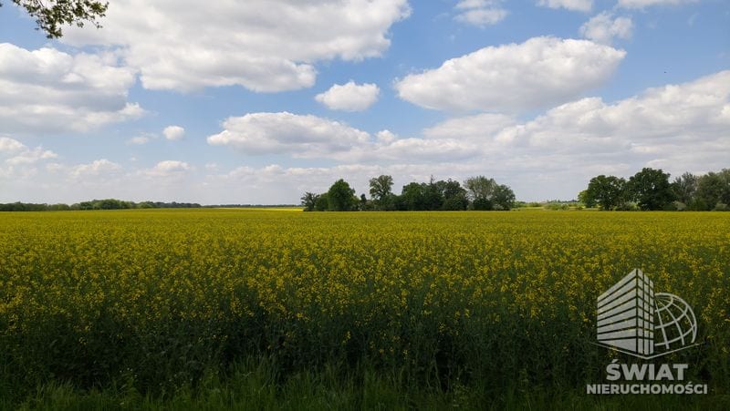 Działka na sprzedaż, Węgorzyno Mielno, 11290 m² — AVN22391, zdjęcie 2
