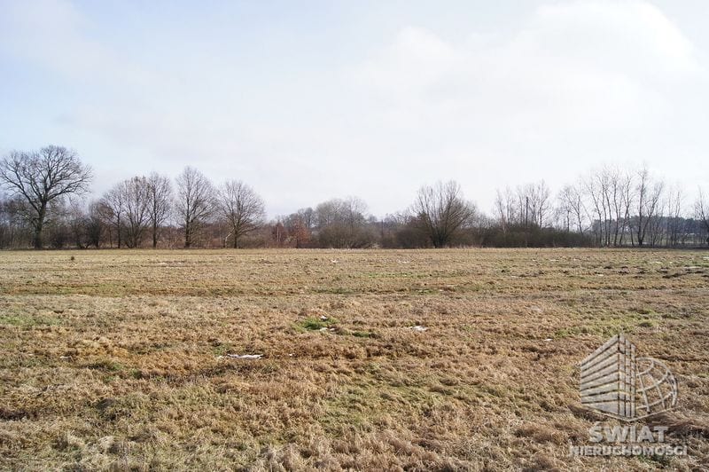 Działka na sprzedaż, Wolin Jarzębowo, 3000 m² — CIE21211, zdjęcie 3