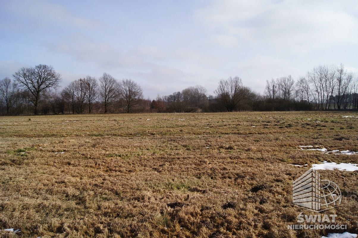 Działka na sprzedaż, Wolin Jarzębowo, 3398 m² — CIE21212, zdjęcie 1