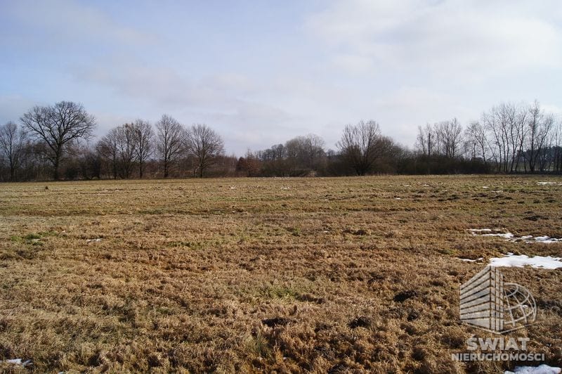 Działka na sprzedaż, Wolin Jarzębowo, 3398 m² — CIE21212, zdjęcie 1