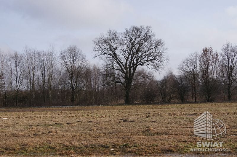 Działka na sprzedaż, Wolin Jarzębowo, 3000 m² — CIE21213, zdjęcie 1