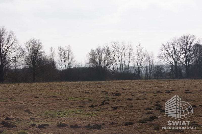 Działka na sprzedaż, Wolin Jarzębowo, 3000 m² — CIE21213, zdjęcie 2