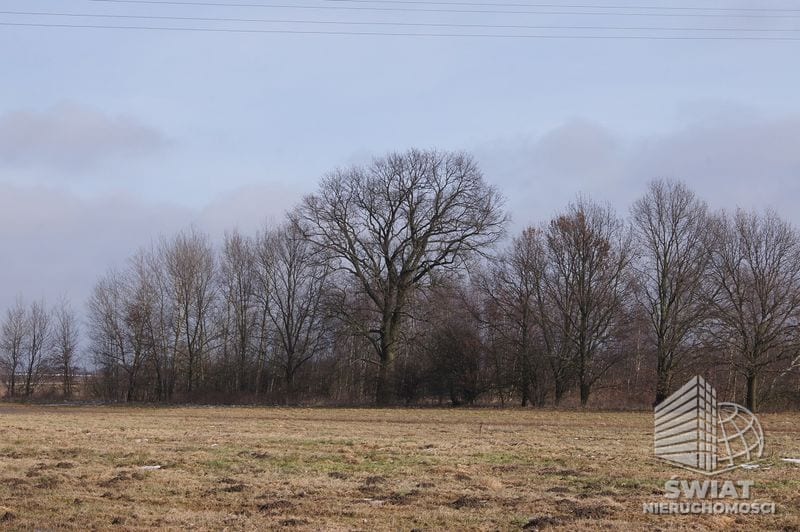 Działka na sprzedaż, Wolin Jarzębowo, 3000 m² — CIE21214, zdjęcie 3