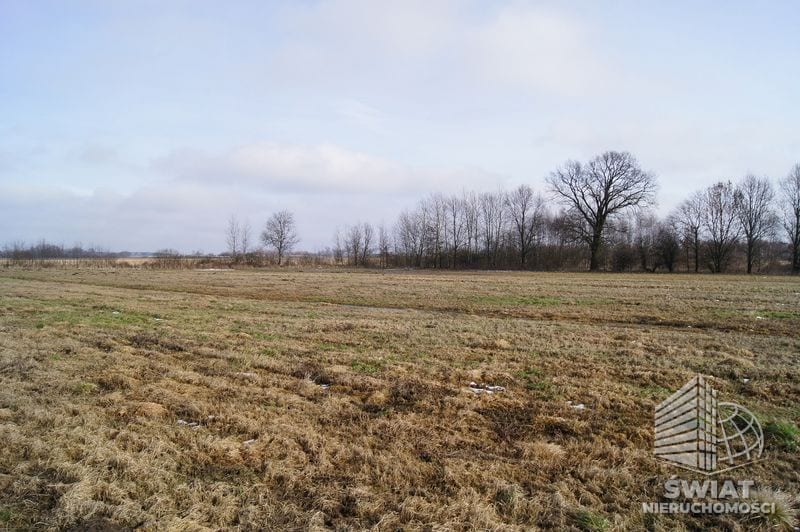 Działka na sprzedaż, Wolin Jarzębowo, 3935 m² — CIE21215, zdjęcie 2