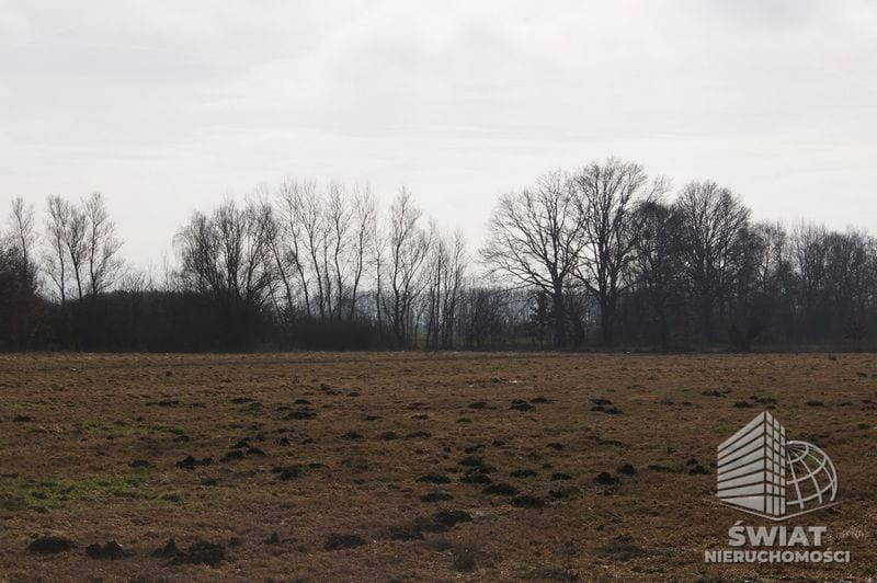 Działka na sprzedaż, Wolin Jarzębowo, 3000 m² — CIE21217, zdjęcie 2