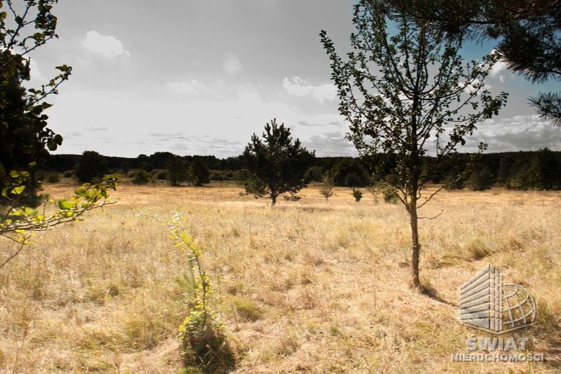 Działka na sprzedaż, Wolin Warnowo, 4700 m² — PAT21086, zdjęcie 8