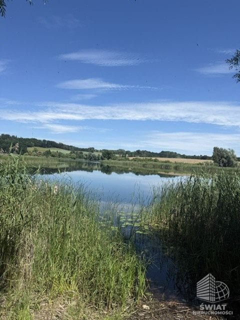 Działka na wynajem, Stare Czarnowo Binowo, 2238 m² — ROY04606, zdjęcie 1