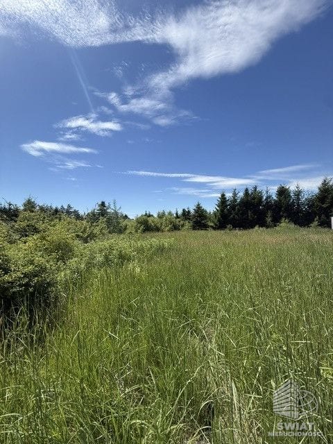 Działka na wynajem, Stare Czarnowo Binowo, 2238 m² — ROY04606, zdjęcie 2