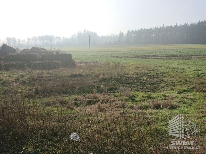 Lokal na sprzedaż, Choszczno Raduń, 10 pokoi, 1500 m² — INB20375, zdjęcie 8