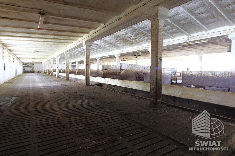 Lokal na sprzedaż, Stargard Strzyżno, 1951 m² — HES28857, zdjęcie 6