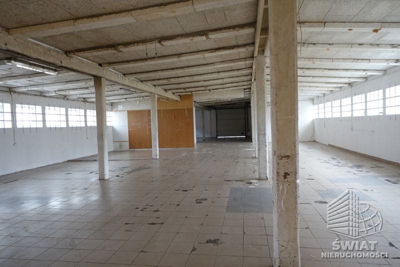 Lokal na wynajem, Kołbaskowo Przecław, 5 pokoi, 525 m² — FKT20916, zdjęcie 7