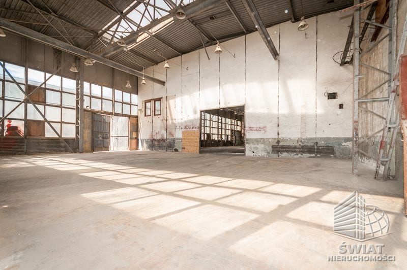 Lokal na wynajem, Szczecin Płonia, 1418 m² — CIE24788, zdjęcie 8