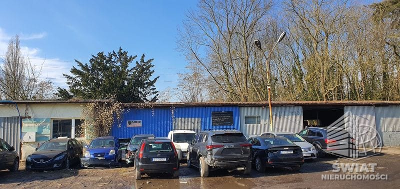 Lokal na wynajem, Szczecin Pomorzany, 100 m² — 9/10114/OHW, zdjęcie 1