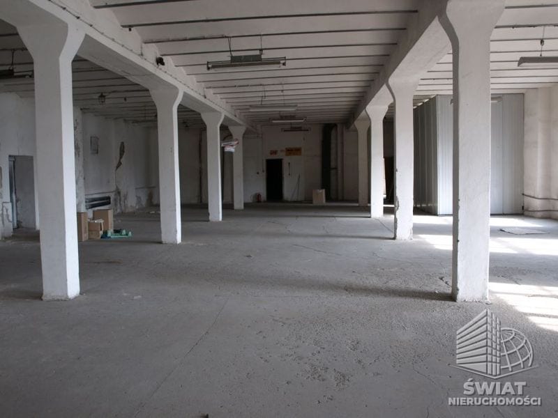 Lokal na wynajem, Szczecin Pomorzany, 1 pokój, 500 m² — GAN20329, zdjęcie 4